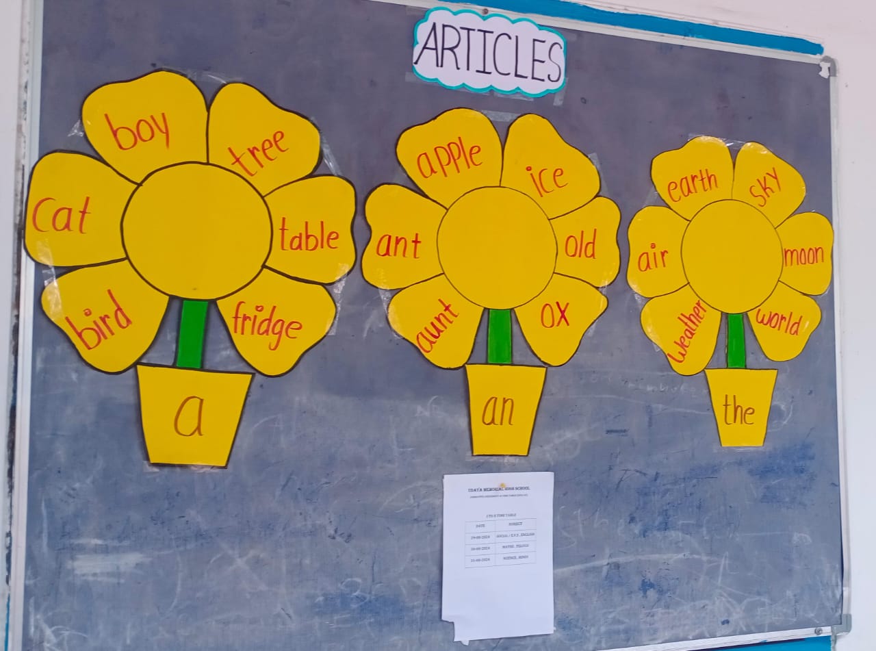 WhatsApp Image 2025-02-10 at 18.54.19_b71a6fba